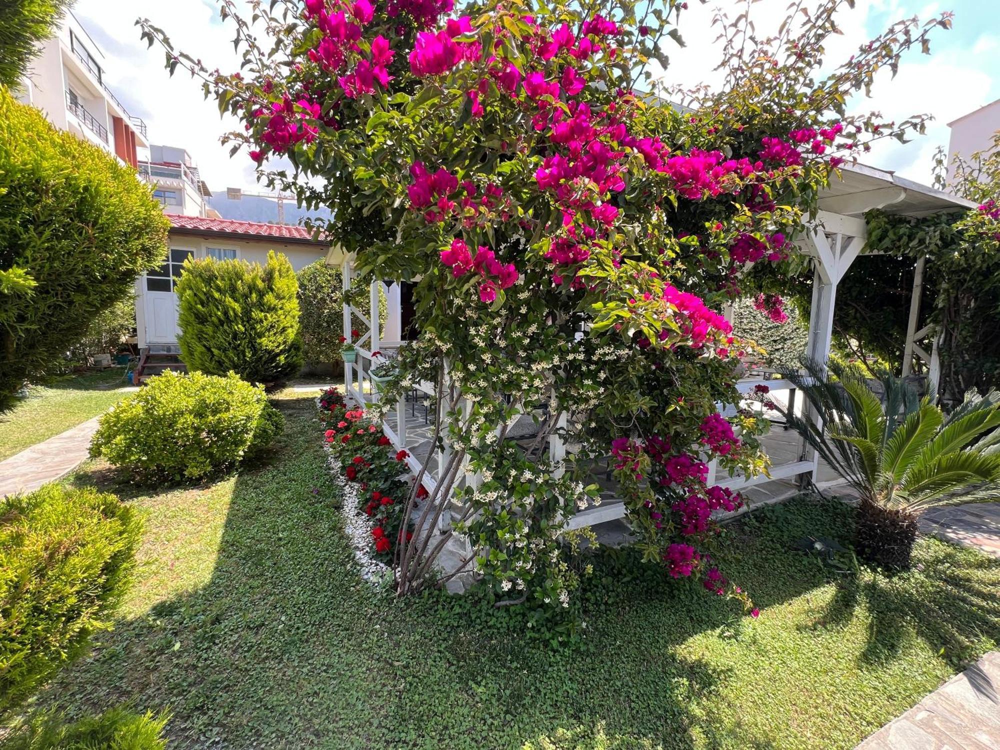 Nili Hotel Vlore Exterior photo
